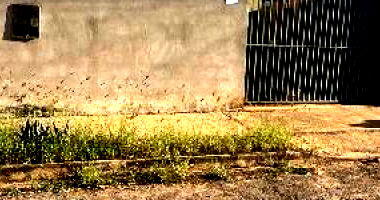 Casa 2 quartos, 2 vagas, 38m² construída, terreno 200m²