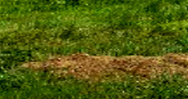 Direitos sobre Chácara em Condomínio de Pesca e Lazer