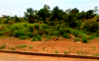 Chácara nº 02 com 20.000m² em Cerejeiras/RO