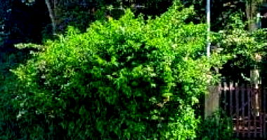 Casa com 181 m² em Caxambu - MG