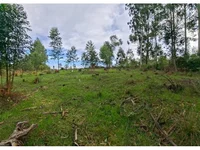 Fração de Terreno com 1.386,75m² em São Pedro do Sul/RS