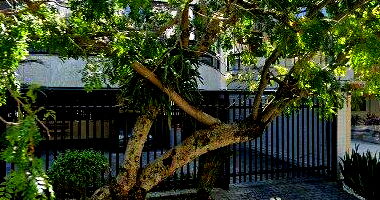 Apartamento no Recreio com 4 Vagas e 203 m²