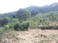 Fração ideal de terras rurais com 520.090m² em Arvorezinha/RS