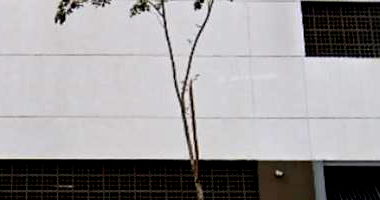 Apartamento 1 Quarto 1 Banheiro 1 Vaga 59m² Ocupado