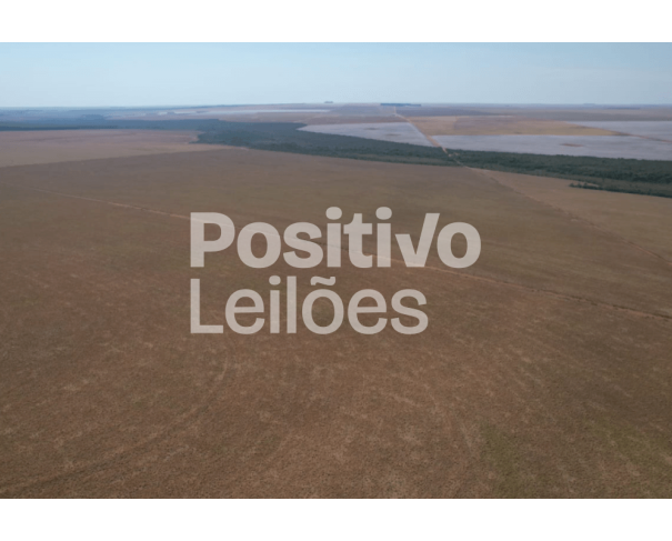 Fazenda Marfal - Imóvel Rural com 323,65 Hectares em Primavera do Leste/MT
