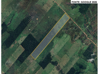 Sítio 48,68 ha com pasto e mata em Mirante da Serra