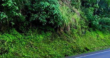 Lote Urbano nº 06 com 2000m² em Mondaí/SC