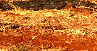 Terreno com 300m² em Quirinópolis/GO