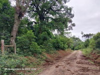 Terreno Rural com 36.300m² em Lapa/PR