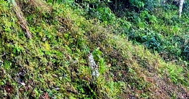 Lote Urbano 48 em Mondaí - 1.014m²