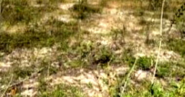 Terreno desocupado de 1.000 m² em Camaçari/BA