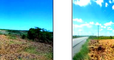 Gleba em Penedo com 10.992 m² - Oportunidade Única!