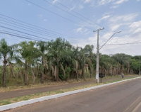 Terreno amplo de 1.562m² em estado natural, pronto para investimento