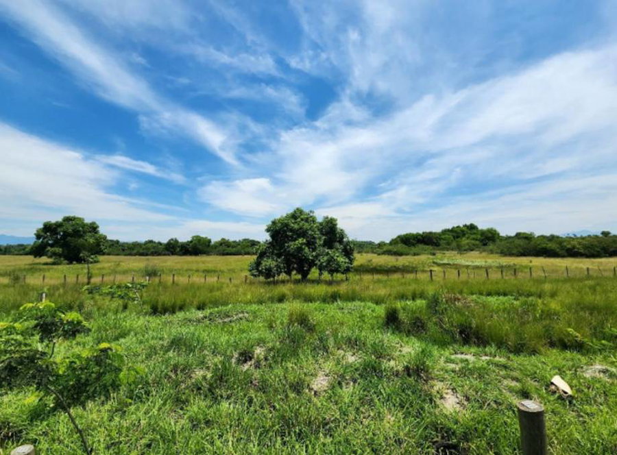 Lote com 265.932 m² de terreno