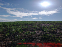 Terreno rural em Ajuricaba/RS com 48ha848a