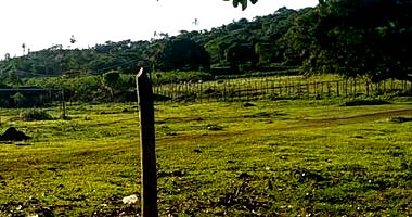 Fazenda em Barra/BA com 2.310ha