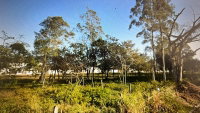 Terreno de 2.239,84m² no Centro de São João Batista