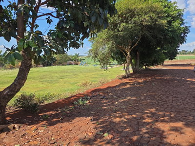 Lote Urbano em Nova Prata do Iguaçu - 1.541,61m²