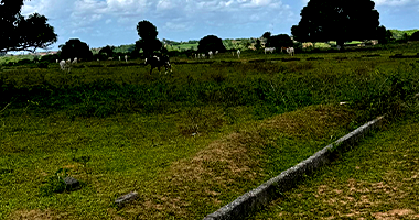 Terreno em Alhandra - PB com 468,42m²