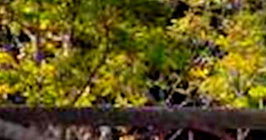 Casa em Chácara com 10 vagas e 3 banheiros em Álvares Machado/SP