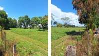 Chácara Santos Reis - 9,83 ha - Cardoso/SP