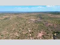 Terreno Rural com 243,61Ha em João Pinheiro MG -