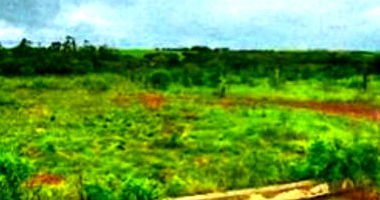 Terreno Urbano com 260m² em São Luiz Gonzaga/RS