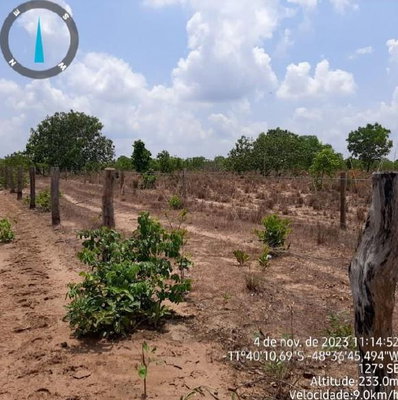 Fazenda Rural com 1.522,33 HA em Paranã/TO