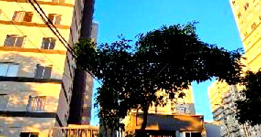 Apartamento com 2 quartos no Ipiranga, São Paulo