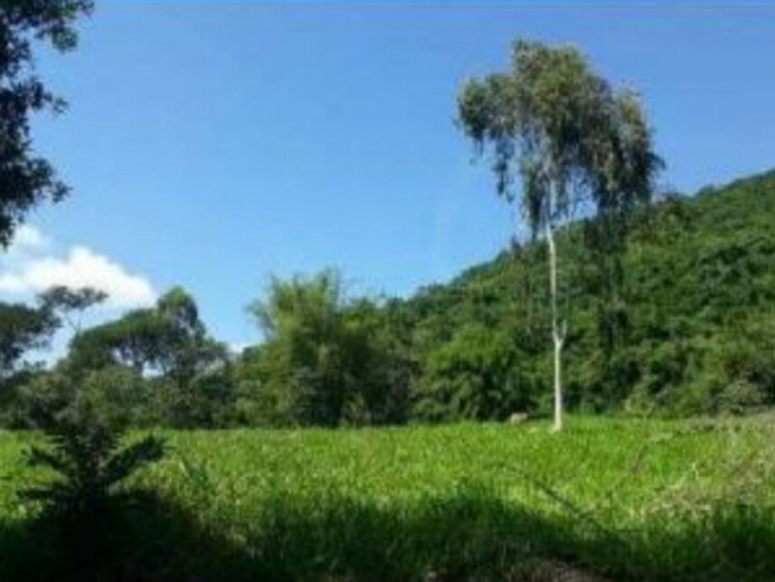Chácara rural com 8,03 ha, ocupada, ideal para investimento