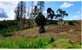 Chácara com 5,305 hectares em Vila Pavão/ES