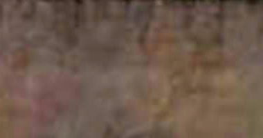 Casa Ocupada com 300m² de Terreno em Sinop/MT