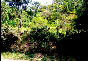 Terreno urbano com 14.237,63m² em Mogi das Cruzes