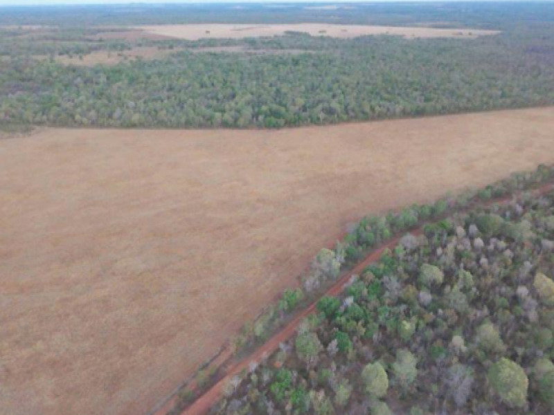 Área Rural de 128,38 ha, Desocupada e Plana