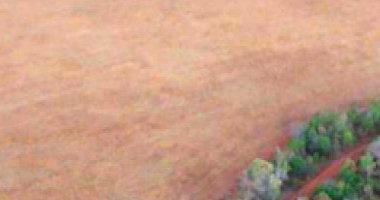 Área Rural de 128,38 ha, Desocupada e Plana