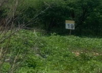 39 Lotes Urbanos em Loteamento com Potencial de Investimento