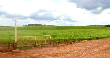 Fazenda rural com 159,54 hectares, área para reforma