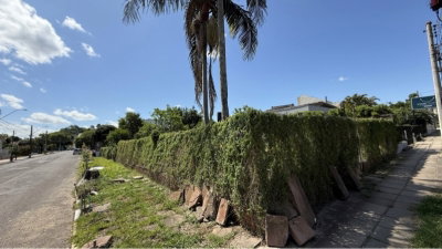 Terreno com Casa no Bairro Scharlau - Oportunidade de Investimento
