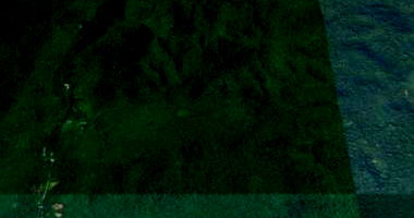 Fazenda Rural com 173.60 Hectares em Guaraqueçaba/PR