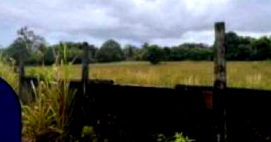 Terreno em Goiana/PE - Oportunidade Única