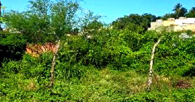 Casa com 2 quartos em Nossa Senhora do Socorro