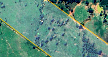 Parte ideal - Sítio - 1,21 ha