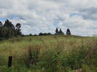 Imóvel Rural com 8,88 hectares em Timbó Grande - SC