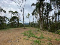 Terreno rural com 35.896,18m², ideal para chácara ou turismo