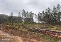 Imóvel rural com 29.885 m² em Rio Rufino