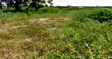 Terreno Amplo em Área Rural de Mossoró/RN