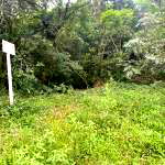 Terreno Lote 03 com 430m² em Montenegro/RS