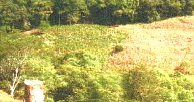 Lote rural com 22.238m², parte ideal, ocupado