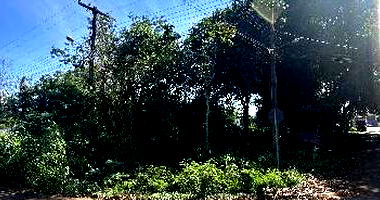 Terreno em Foz do Iguaçu com 517,5m²