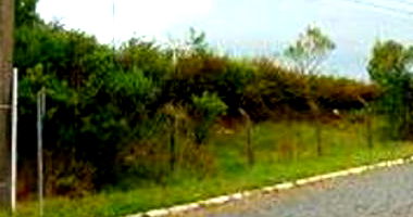 Terreno Urbano Amplo em Curitibanos - SC